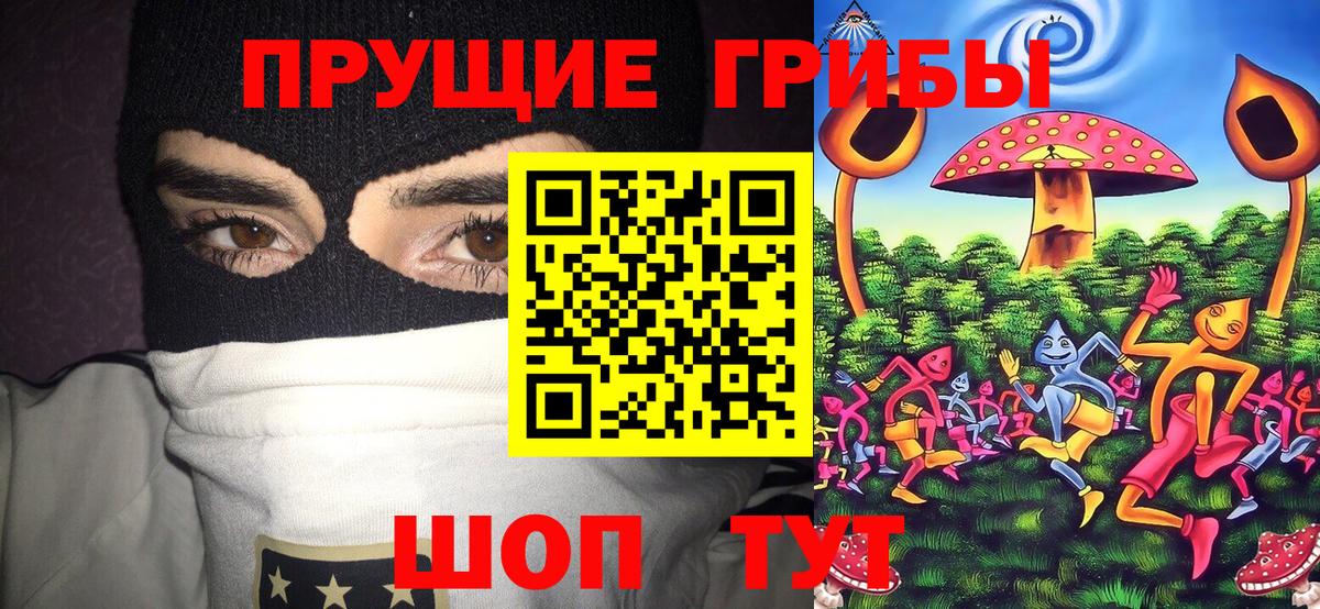 Галлюциногенные грибы Cubensis Учалы