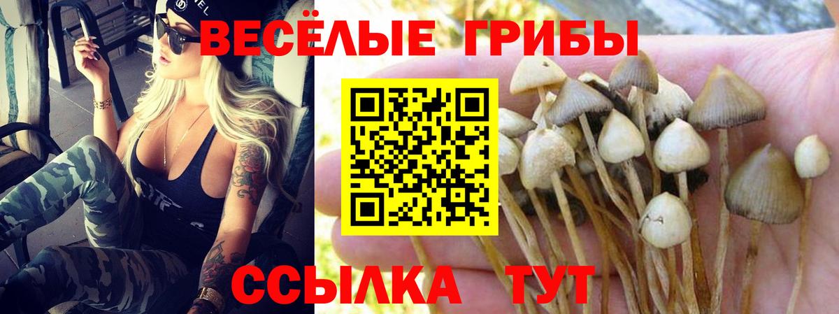 Учалы  что такое   Вход с VPN  Псилоцибиновые грибы мицелий 