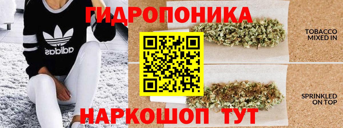 Бошки марихуана план  Шишки марихуана тримм  Вход с VPN  Учалы  Конопля THC 21% 